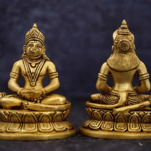 Brass Hanuman