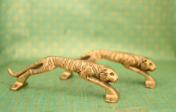 Brass Door Handle